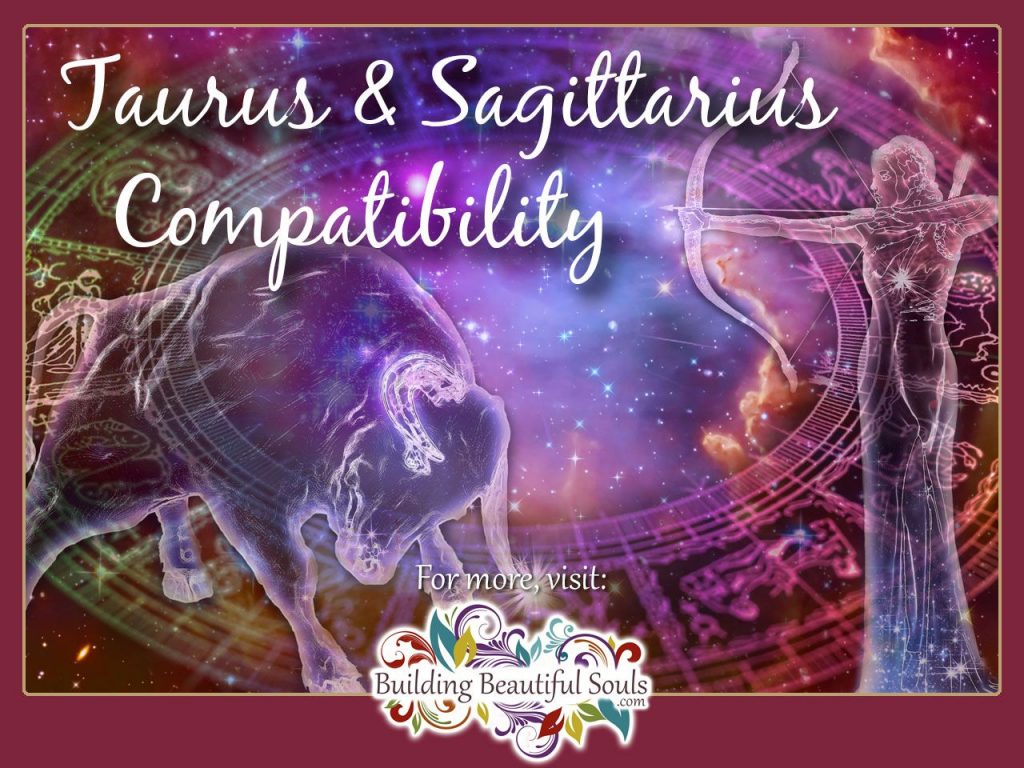 Taurus Sagittarius Friendship: Detailed Information