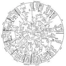 Astrology And The Pharaohs