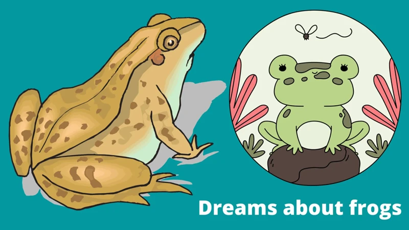 Common Frog Dream Scenarios