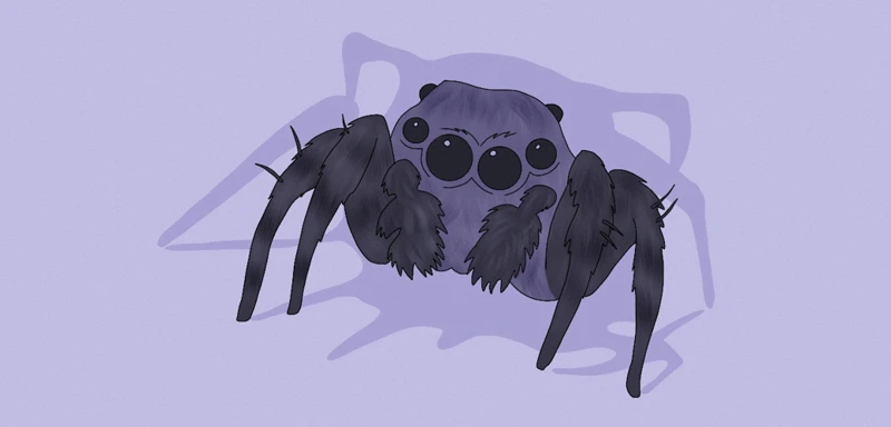 Common Spider Dream Themes