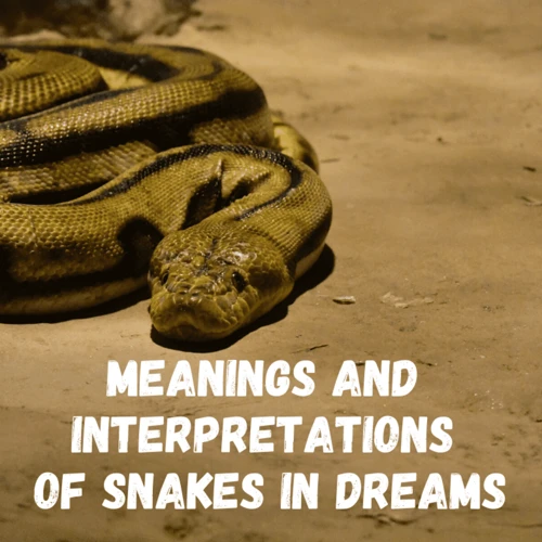 Common Themes In Snake Dreams