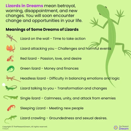 Dreams About Lizards