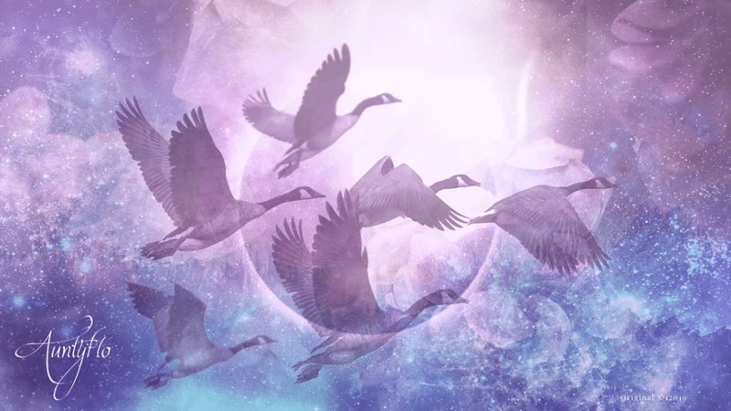 Flying Dreams: Symbolic Meanings