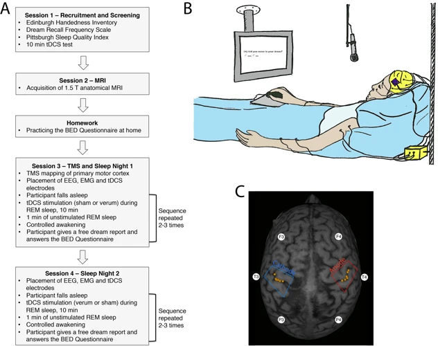 How Sleep Parasomnias Can Facilitate Spontaneous Lucid Dreaming