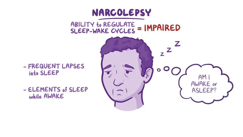 Inheritance Patterns Of Narcolepsy