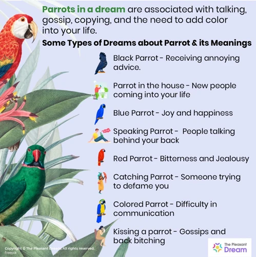 Interpreting Bird Dreams