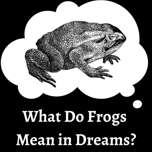 Interpreting Frog Dreams