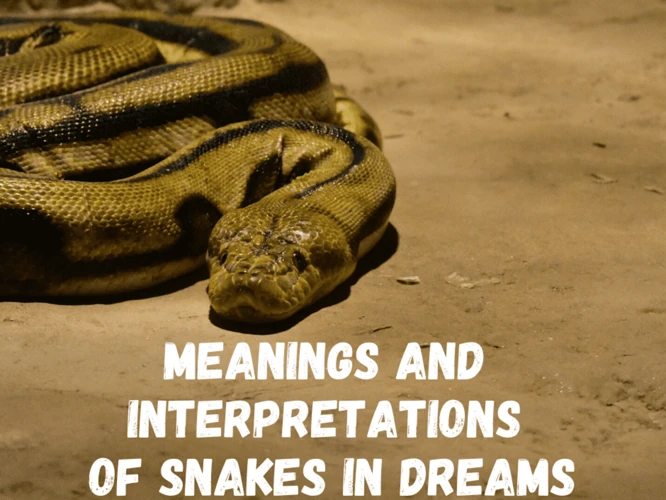 Interpreting Snake Colors