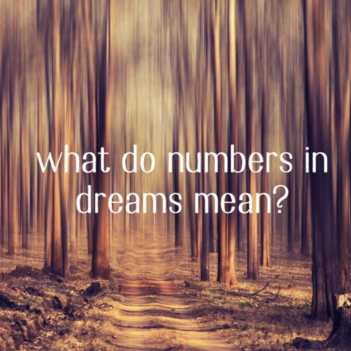 Interpreting Specific Number Dreams