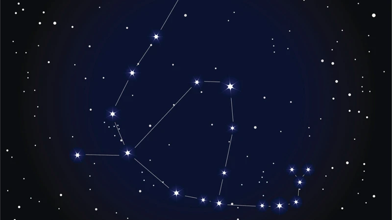 Leo (July 23 - August 22)