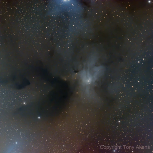 Observing The Ophiuchus Nebulae