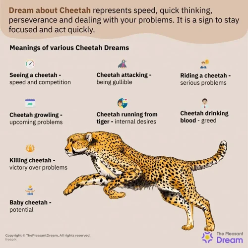 Other Factors Influencing Dream Animal Symbolism