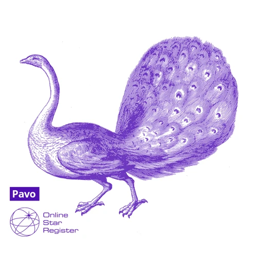 Pavo, The Peacock