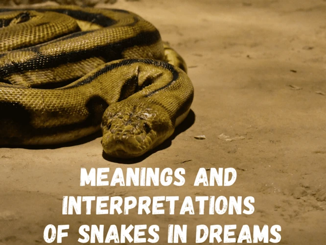 Positive Symbolism Of Snakes In Dreams