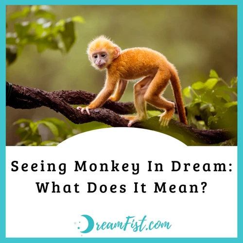 Possible Interpretations Of Monkey Dreams