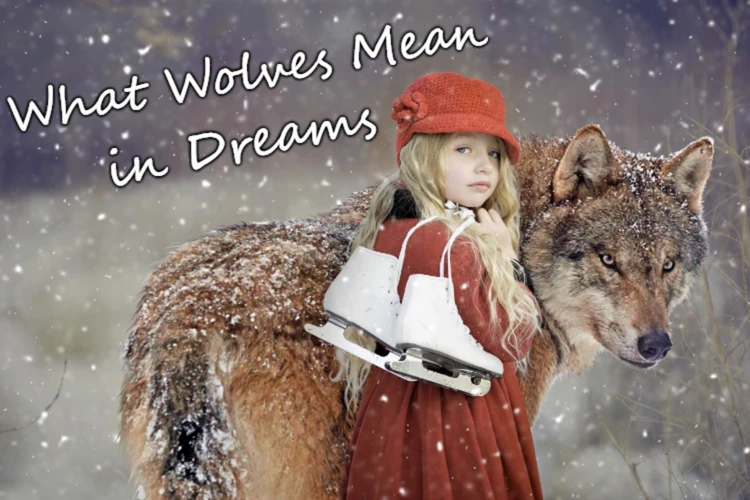 Significance Of Wolves In Dreams