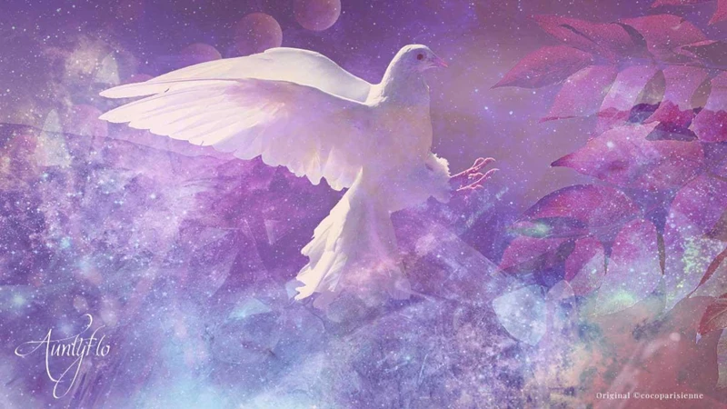 Symbolism Of Birds In Dreams