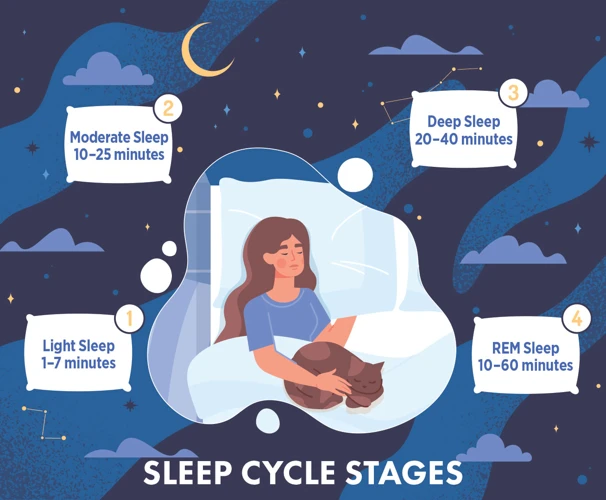 The Cycle Of Insomnia