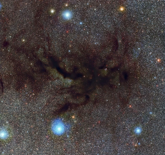 The Dark Nebulae In Ophiuchus