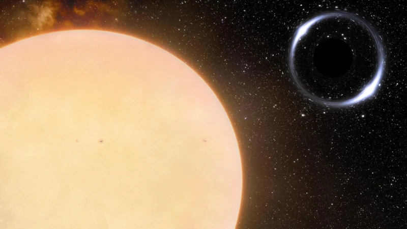 The Fascinating World Of Exoplanets