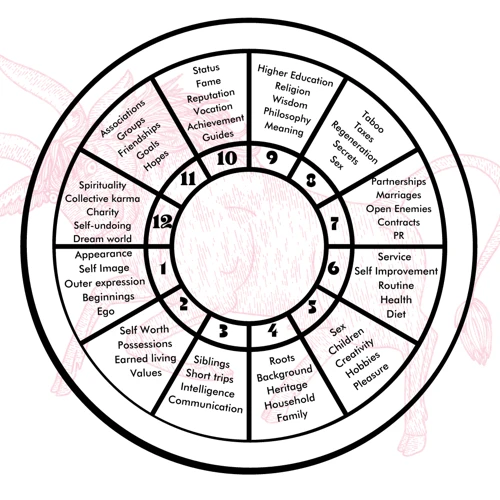 The Impact Of Astrological Houses On Love And Relationships