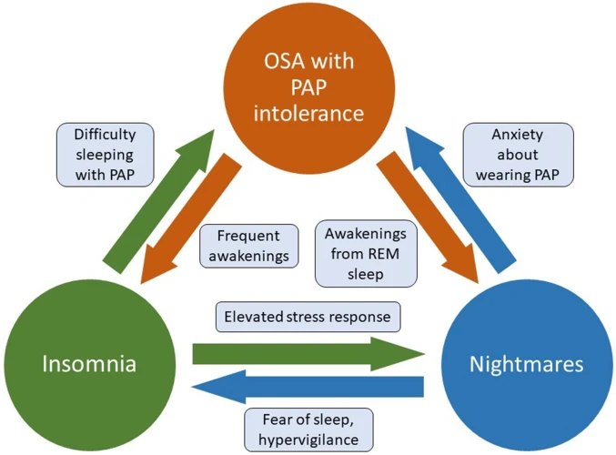 The Neurobiological Basis Of Nightmares In Ptsd