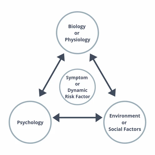 The Role Of Lifestyle Factors