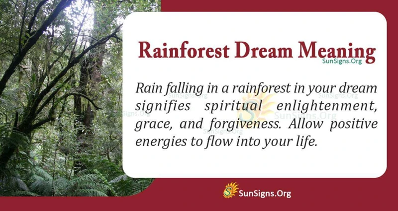 The Symbolic Significance Of Jungles And Rainforests