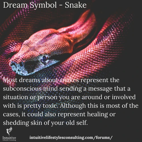 The Symbolic Significance Of Snakes In Dreams