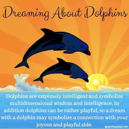 The Symbolism Of Dolphins In Dreams