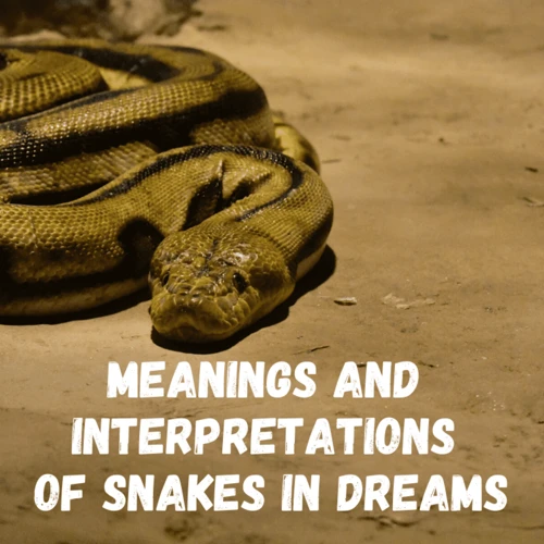 Tips For Analyzing Snake Dreams