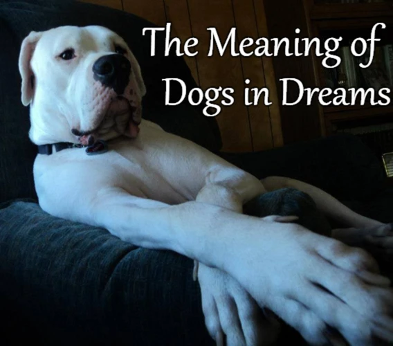 Types Of Dreams About Dogs