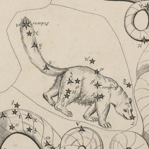 Ursa Minor And Astrology