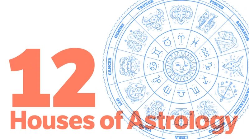 What Are Houses In Astrology?